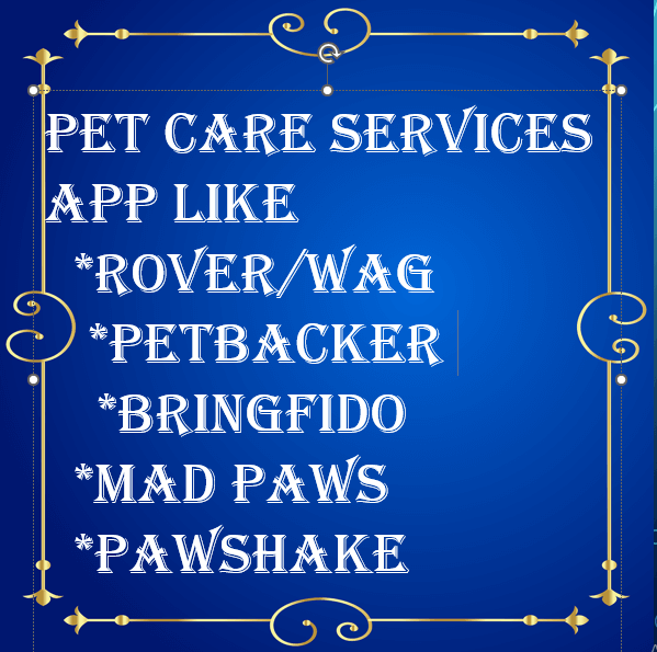 portfolio item photo